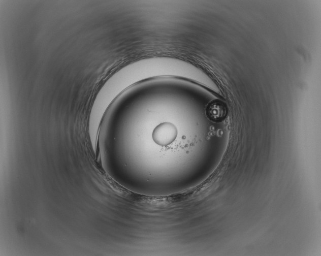 X0000113960384200909251406