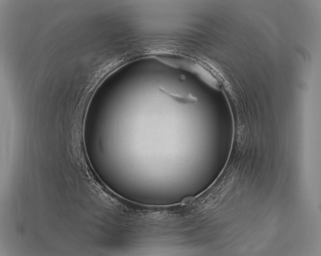 X0000113960385200909251405