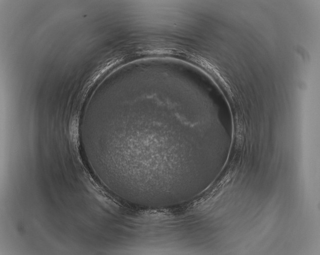 X0000113960386200909251405