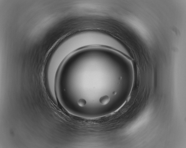 X0000113960387200909251405