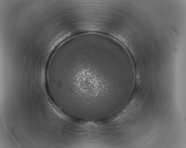 X0000113960390200909251405