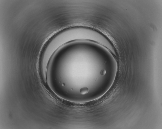 X0000113960391200909251405