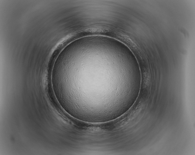 X0000113960392200909251405