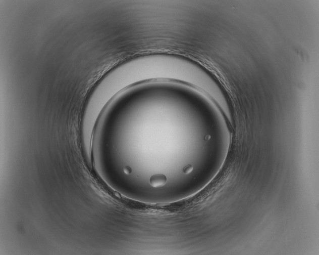 X0000113960393200909251405