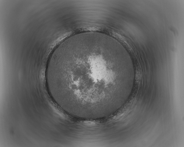 X0000113960394200909251405