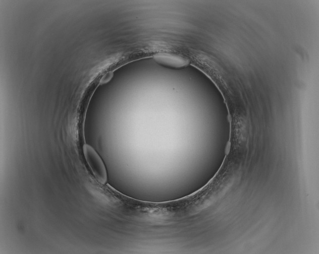 X0000113960395200909251405