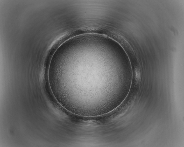 X0000113960396200909251405