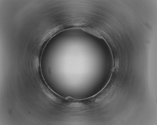 X0000113960397200909251405