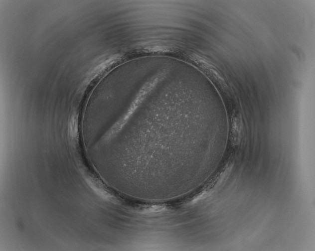 X0000113960398200909251405