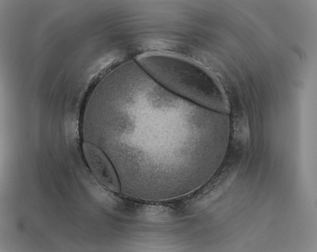 X0000113960399200909251405