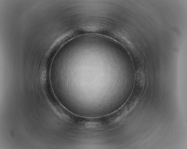 X0000113960400200909251405