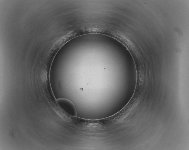 X0000113960401200909251405