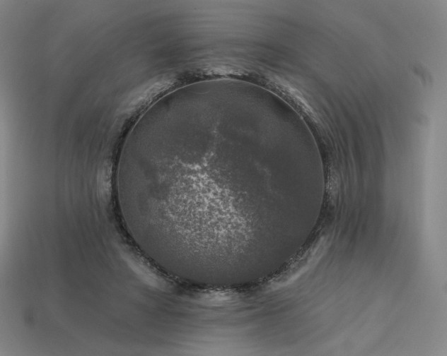 X0000113960402200909251405