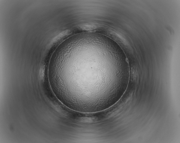 X0000113960404200909251405