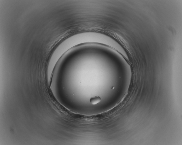 X0000113960405200909251405