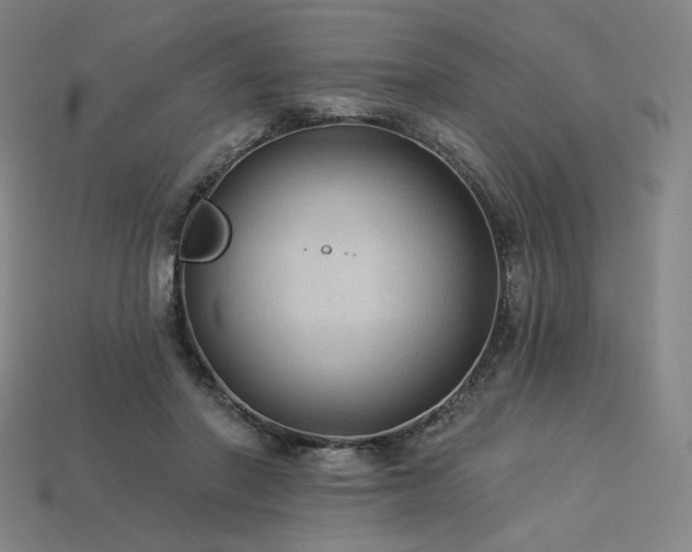 X0000113960406200909251405