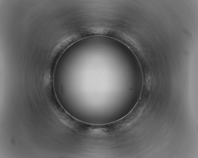 X0000113960407200909251405