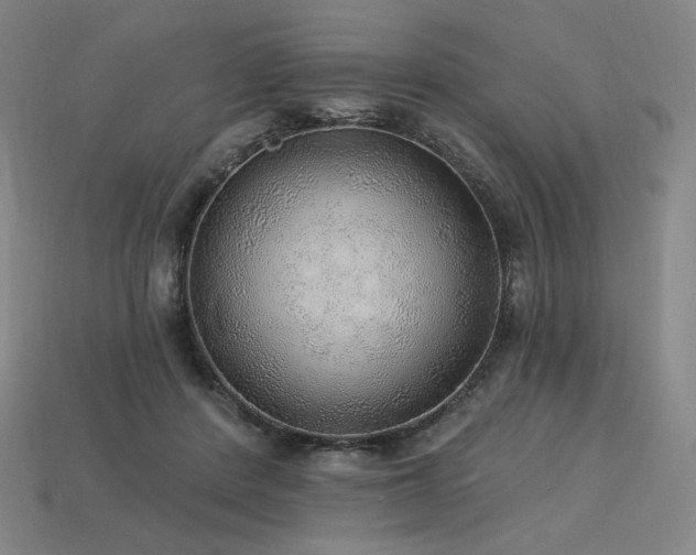 X0000113960408200909251405