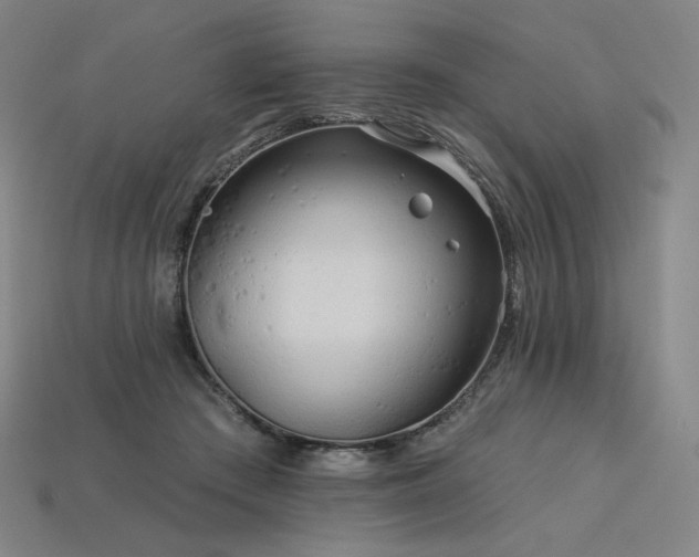 X0000113960409200909251405