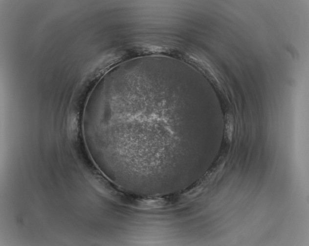 X0000113960410200909251405