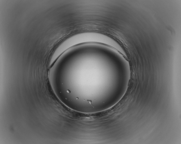 X0000113960411200909251405