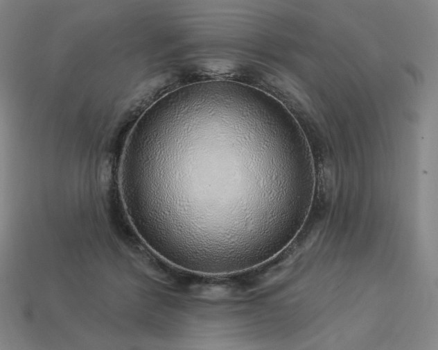 X0000113960412200909251405