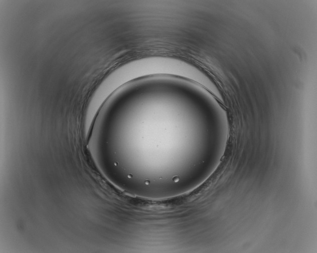 X0000113960413200909251405