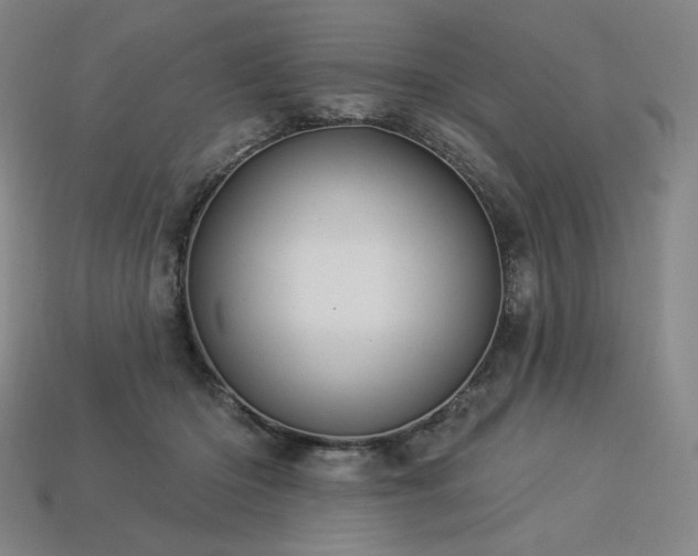 X0000113960414200909251404