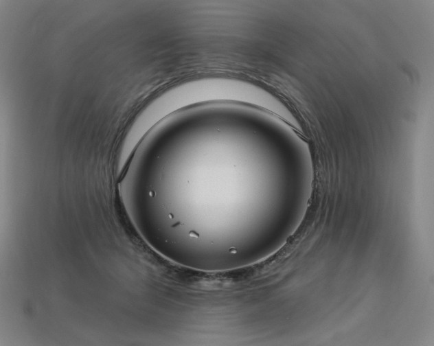 X0000113960415200909251404