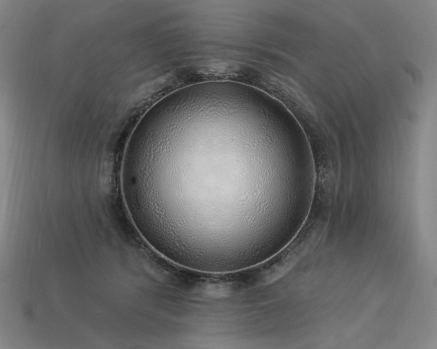 X0000113960416200909251404