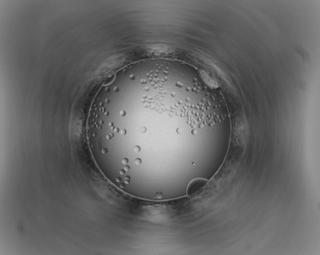 X0000113960417200909251404