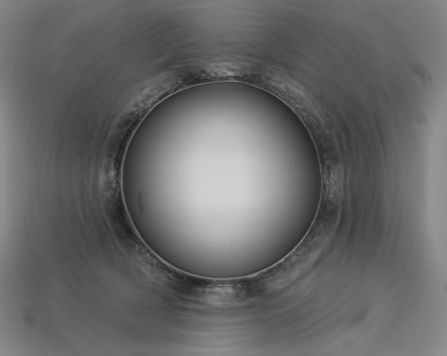 X0000113960418200909251404