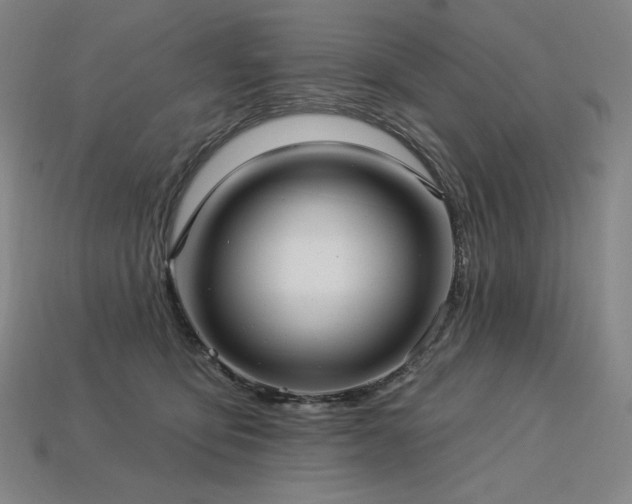 X0000113960419200909251404