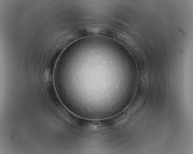 X0000113960420200909251404