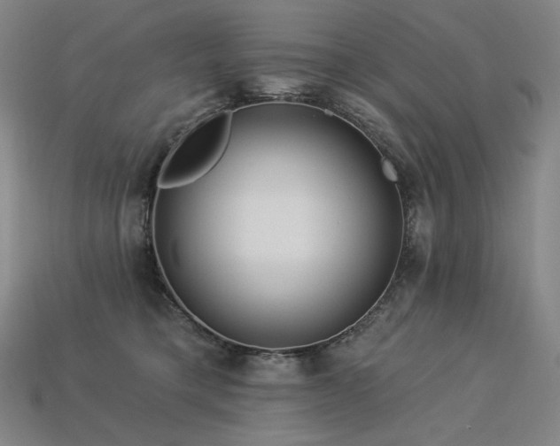 X0000113960421200909251404