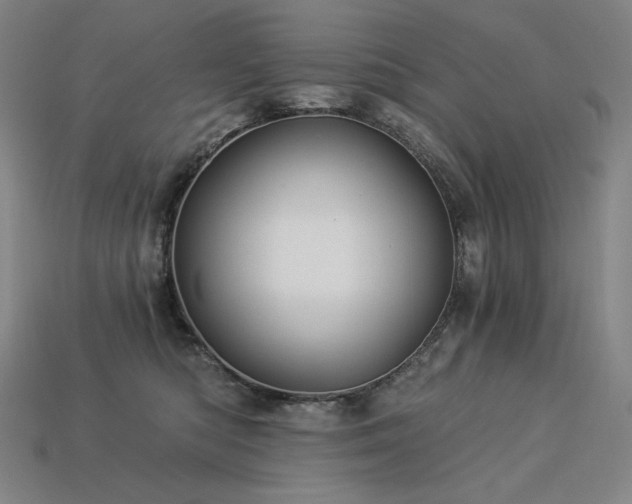 X0000113960422200909251404