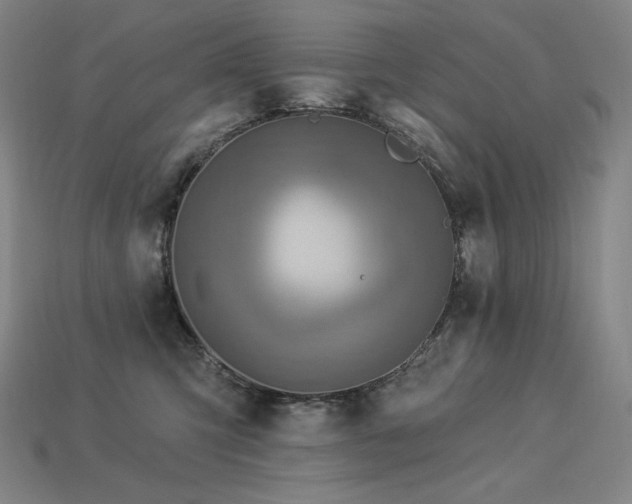 X0000113960423200909251404