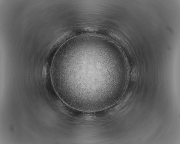 X0000113960424200909251404