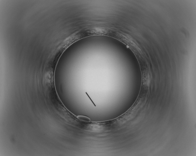 X0000113960425200909251404