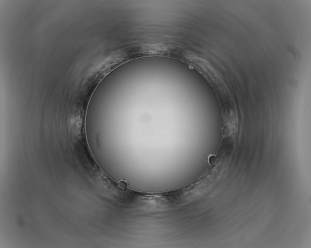 X0000113960427200909251404