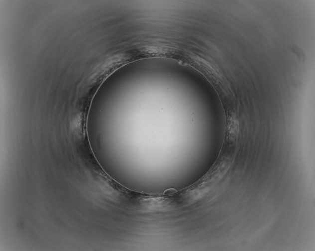 X0000113960428200909251404