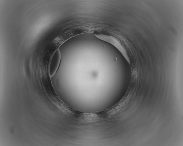 X0000113960429200909251404