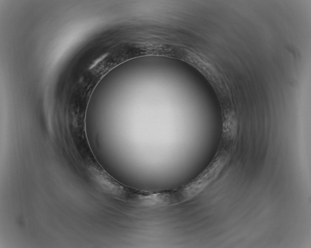 X0000113960430200909251404