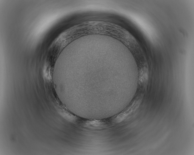 X0000113960431200909251404