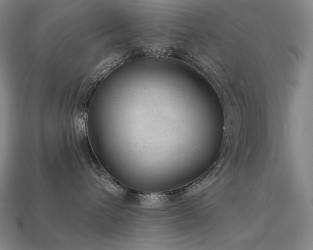 X0000113960432200909251404