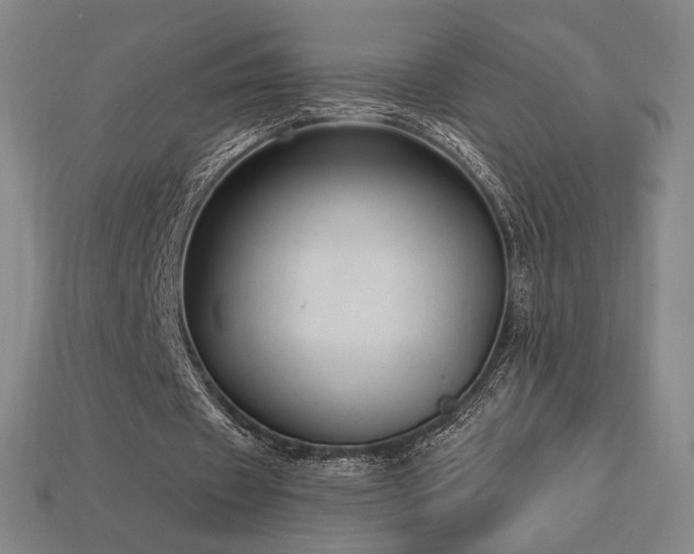 X0000113960433200909251404