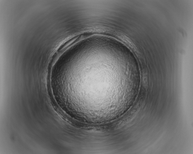 X0000113960434200909251404