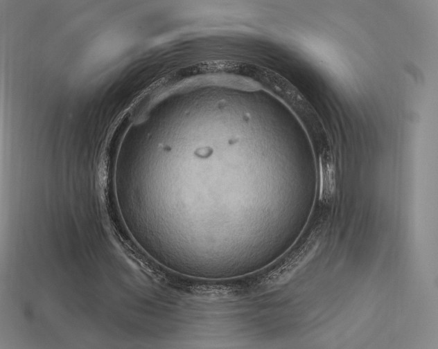 X0000113960435200909251404