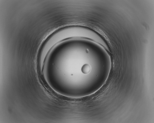 X0000113960436200909251404