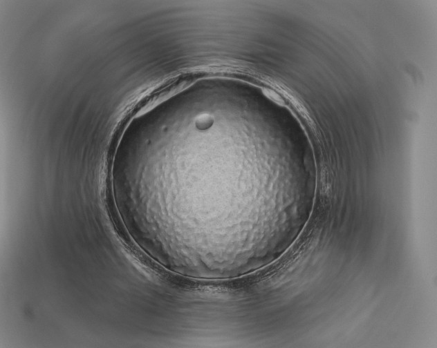 X0000113960437200909251404